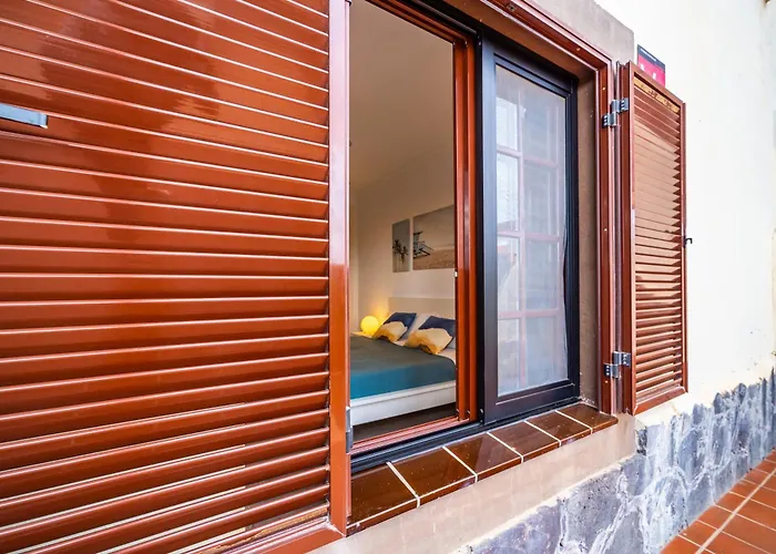 Gaviota Real En Balcon Del Mar Costa Del Silencio