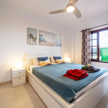 Gaviota Real En Balcon Del Mar